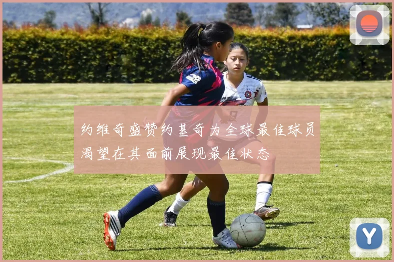 约维奇盛赞约基奇为全球最佳球员渴望在其面前展现最佳状态