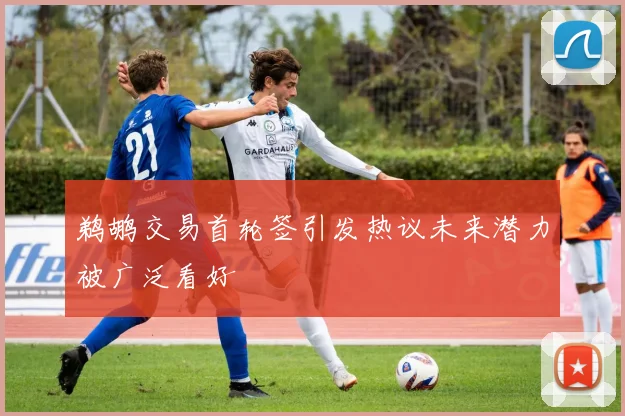 鹈鹕交易首轮签引发热议未来潜力被广泛看好